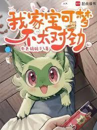 我的宝可梦不太对