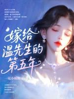 嫁给温先生第五年txt