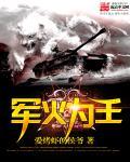 军火为王系统