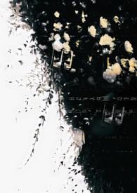 平平无奇女beta目睹之怪状晋江