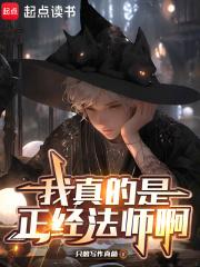 我真的是正经法师啊(1-213)