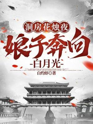 洞房花烛夜穿越