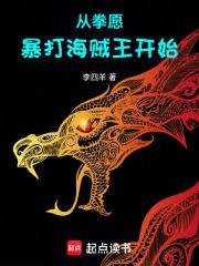 从拳愿暴打海贼王开始笔趣阁最新章节TXT