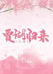 红楼之贾瑚作者顾盼盈盈