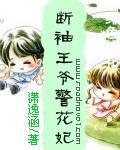 王爷的警花妃子