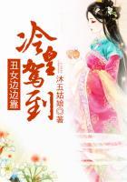 冷皇的笑妃免费阅读全书