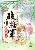 额腹黑将军要休妻