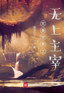 完美世界之上苍