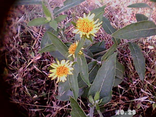 35岁前要上的33堂理财课有哪些