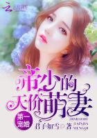 第一婚宠帝少倾城挚爱