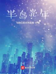 半岛的光txt
