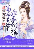 爆宠痞妃 殿下乖乖就
