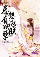 总有妖孽想泡朕免费