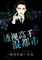 透视高手混都市之叶开