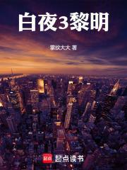 白夜黎明在线阅读