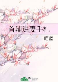 首辅追妻计划 起点