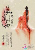 浴血凤凰再重生另类词