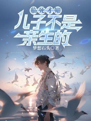 电视剧儿子不是亲生的