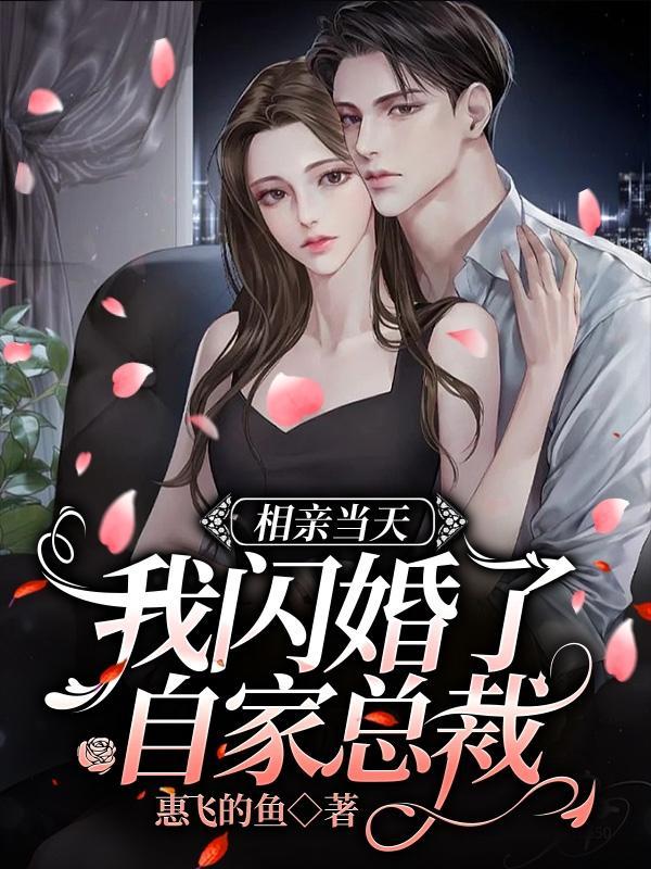 相亲当天,我闪婚了自家总裁