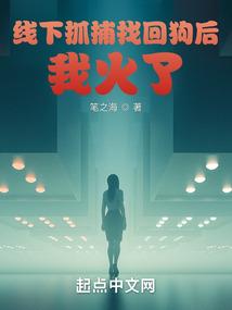 神探：从抓捕找回狗开始