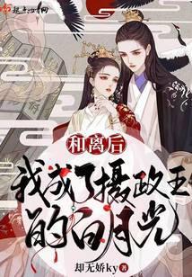和离后,我成了摄政王的白月光