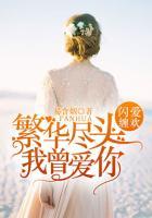 闪爱缠欢:繁华尽头我曾爱你